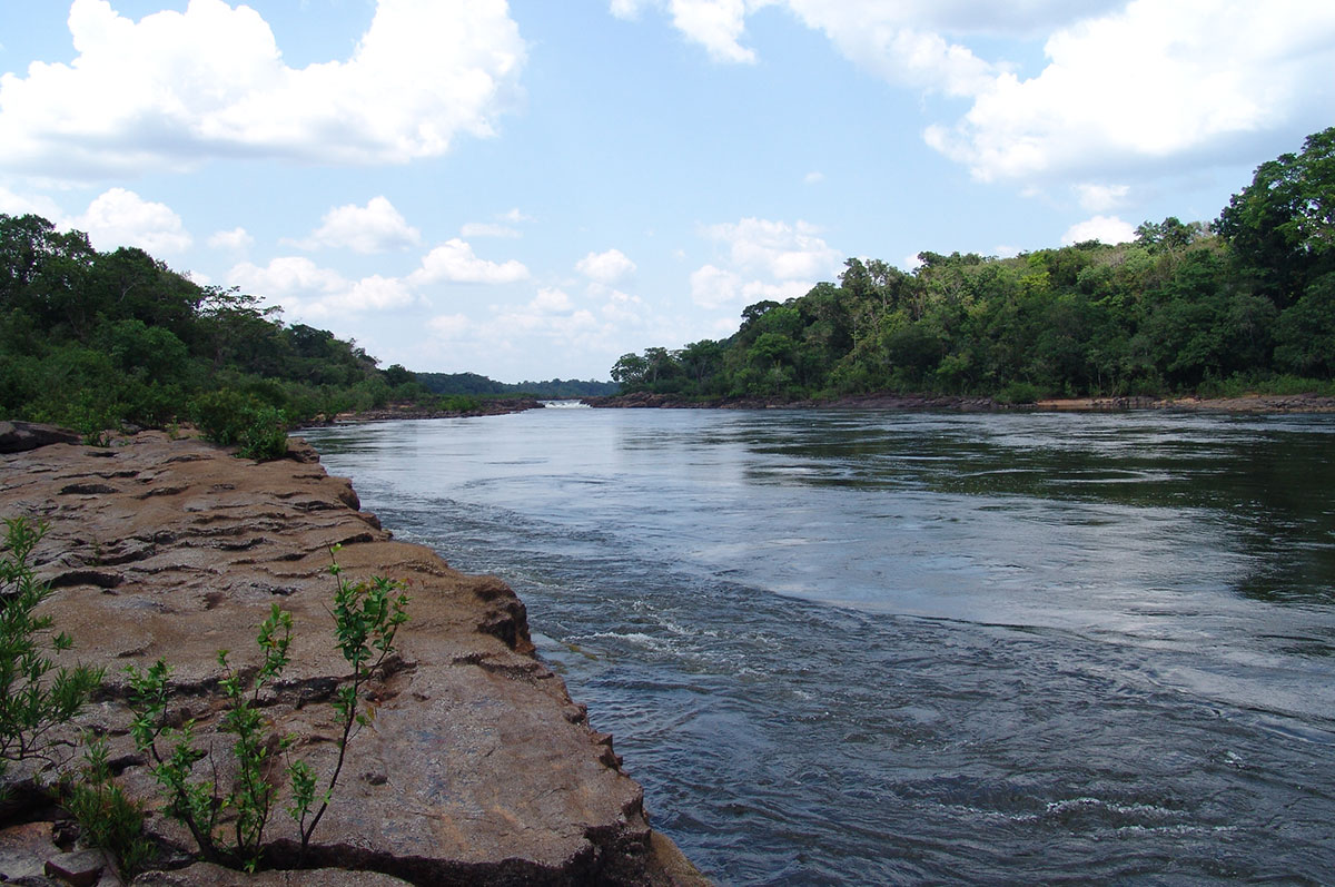 Trombetas Amazon Waters