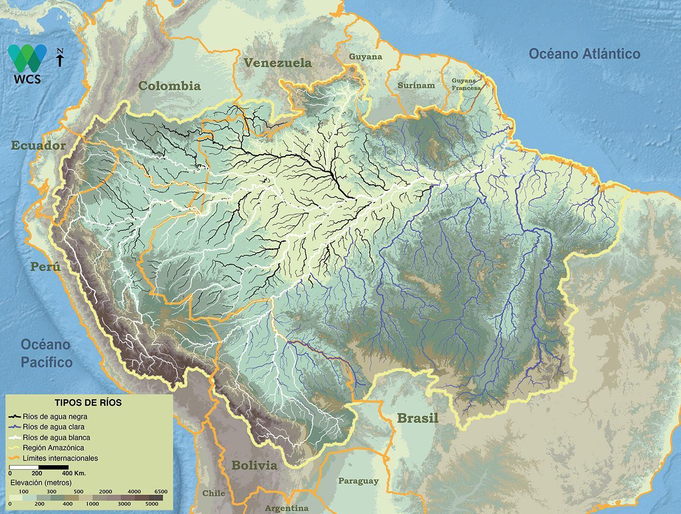 En la cuenca amazónica varios tipos de agua, que van desde alcalina hasta altamente ácida, pueden clasificarse en ríos de aguas blancas, aguas negras y aguas claras. Los diferentes tipos de agua tienen una gran influencia en la productividad acuática y la biodiversidad. El grosor de las líneas de los ríos no representa la descarga del río.