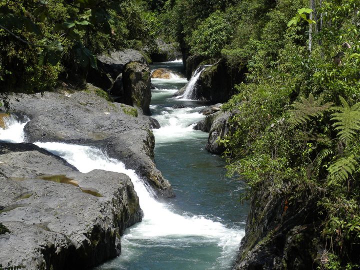 Según un estudio, el cambio climático afectará a los procesos de agua en la cuenca del Amazonas