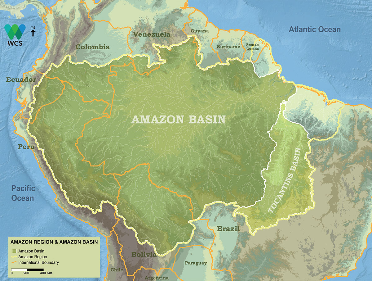 Amazon Basin Amazon Region 