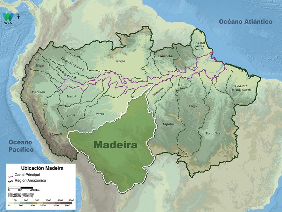 Madeira | AGUAS AMAZÓNICAS