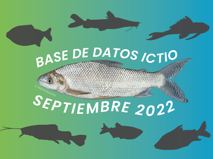 Ictio: La base de datos de peces y pesquerías de la Amazonia sigue ampliándose
