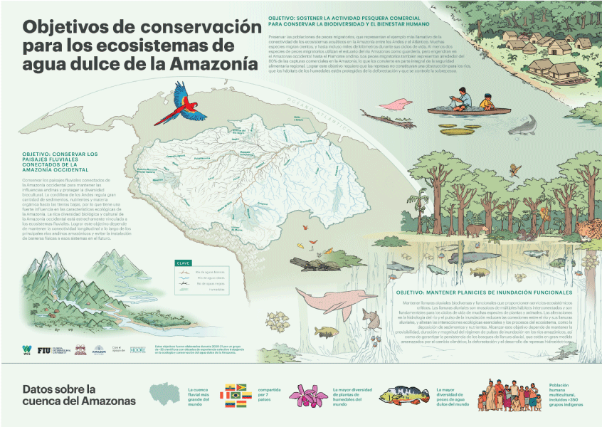 Objetos de Conservación en la Cuenca Amazónica