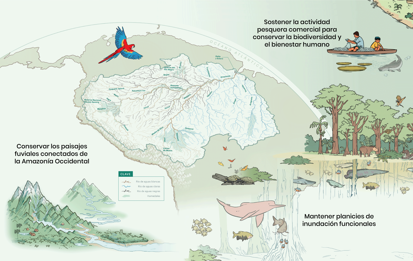Objetos de conservación a escala de la Cuenca Amazónica.