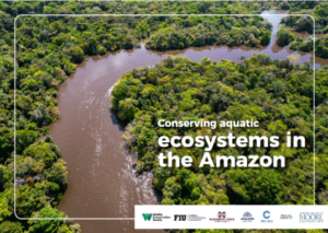 Conservation targets for conserving aquatic ecosystems in the Amazon. 