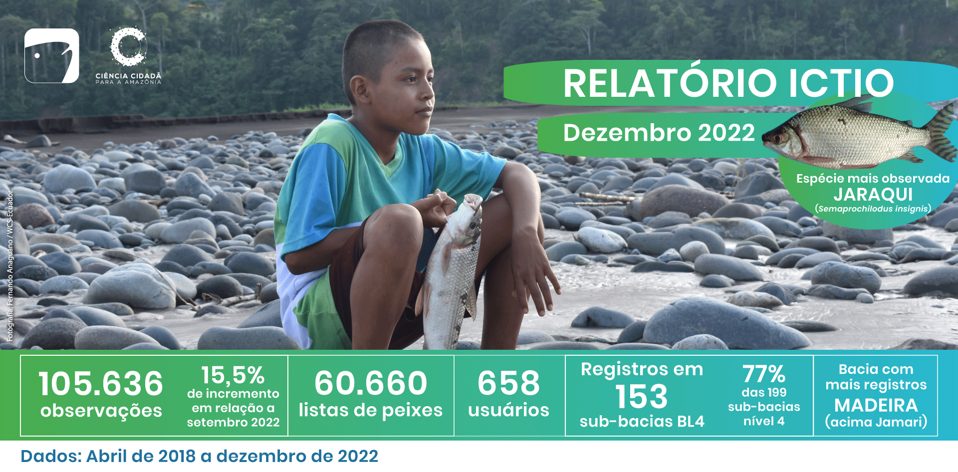 Ictio ultrapassa 100 mil observações 1 Conservando la Cuenca Amazónica Aguas Amazonicas