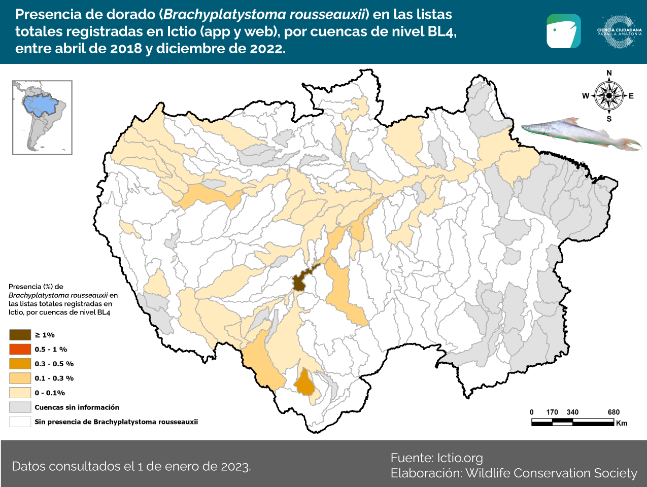 Ictio ultrapassa 100 mil observações 7 Conservando la Cuenca Amazónica Aguas Amazonicas