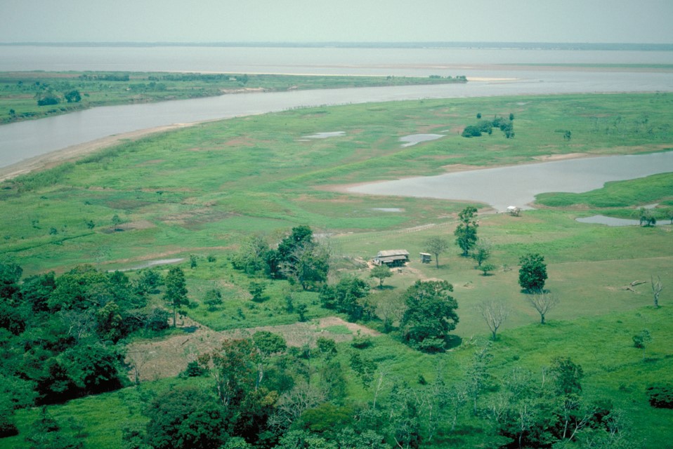 Amazon river Main Stem 