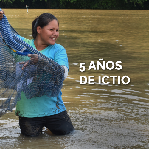 Ictio, cinco años recolectando datos de peces de la Amazonía