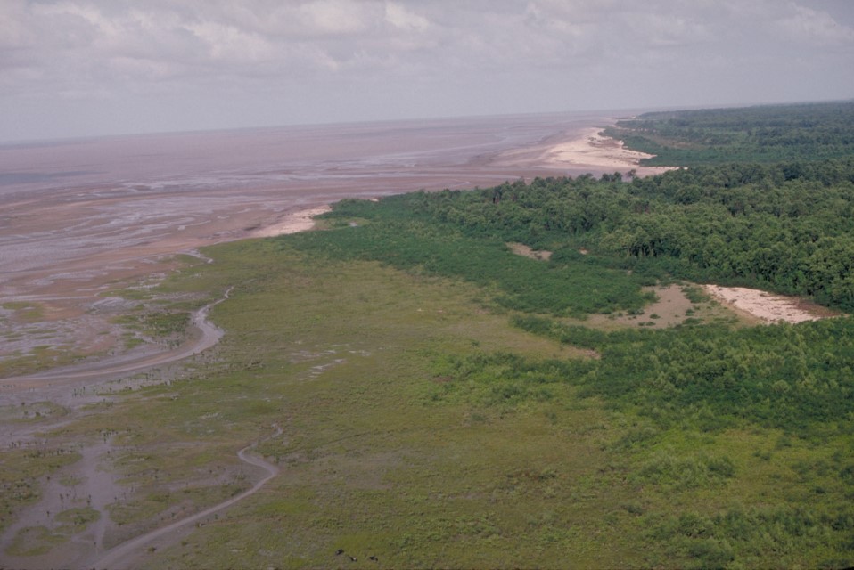 Conservando la Cuenca Amazónica Aguas Amazonicas