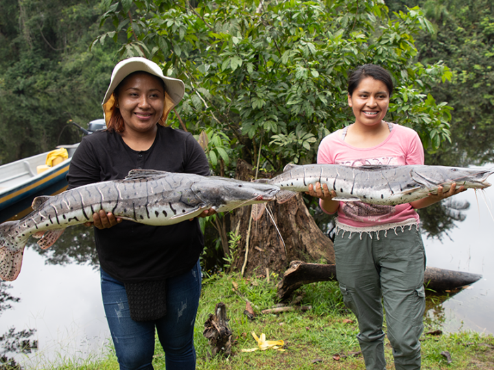 Perspectivas femeninas sobre las mujeres en la pesca amazónica