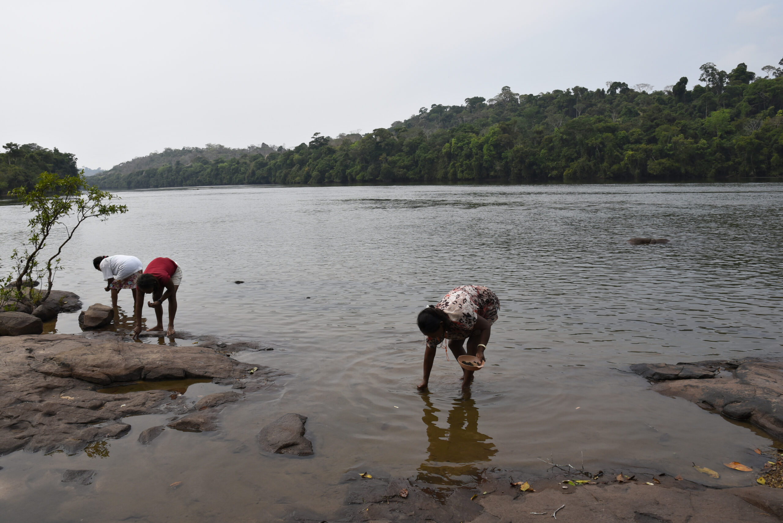 Os impactos socioambientais e a insustentabilidade energética das Pequenas Centrais Hidrelétricas na Amazônia 6 Conservando la Cuenca Amazónica Aguas Amazonicas