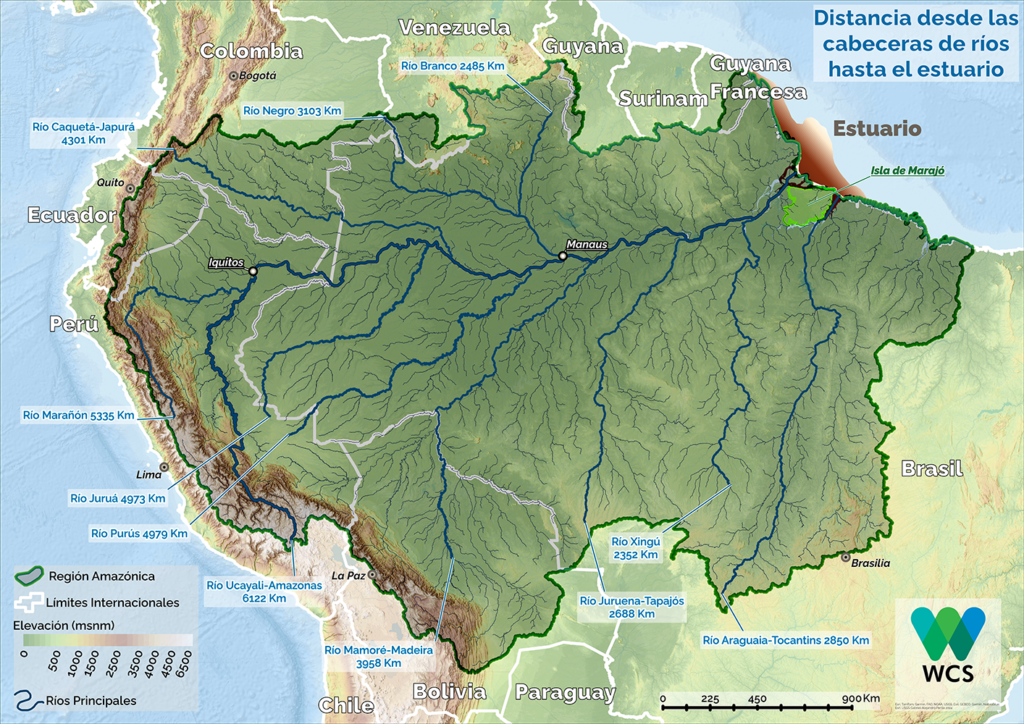 La cabecera del río Amazonas más distante se ubica a casi 6.800 kilómetros desde el Atlántico luego de considerar las distancias siguiendo el curso sinuoso de los grandes canales y tributarios.