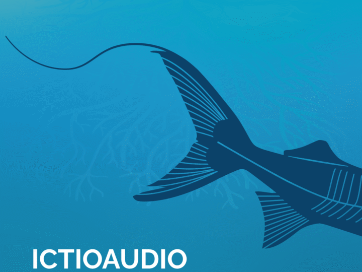 La aplicación IctioAudio, iniciativa de Ecoporé y Lip – Unir, se presentó al Ministerio de Pesca de Brasil como herramienta de monitoreo participativo en la Amazonía