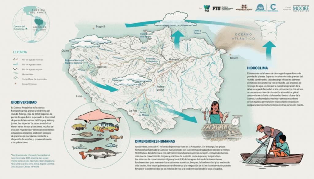 Conservando la Cuenca Amazónica Aguas Amazonicas