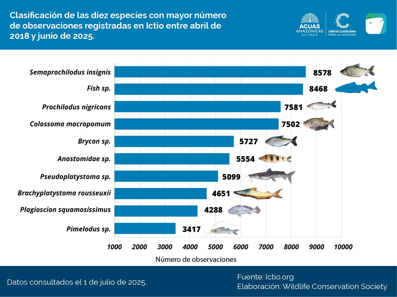 Conservando la Cuenca Amazónica Aguas Amazonicas