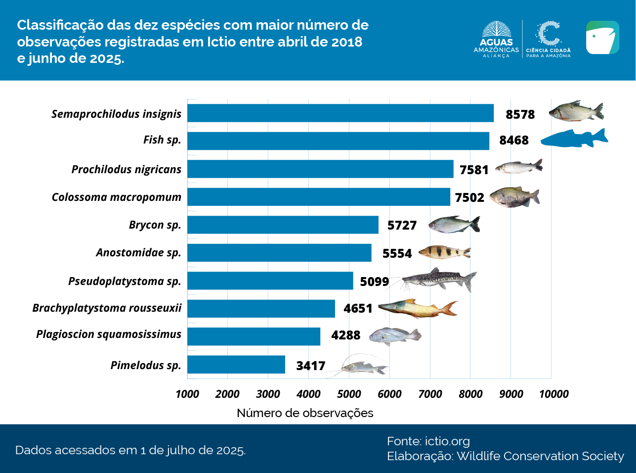 Ictio: a base de dados à escala amazônica 4 Conservando la Cuenca Amazónica Aguas Amazonicas