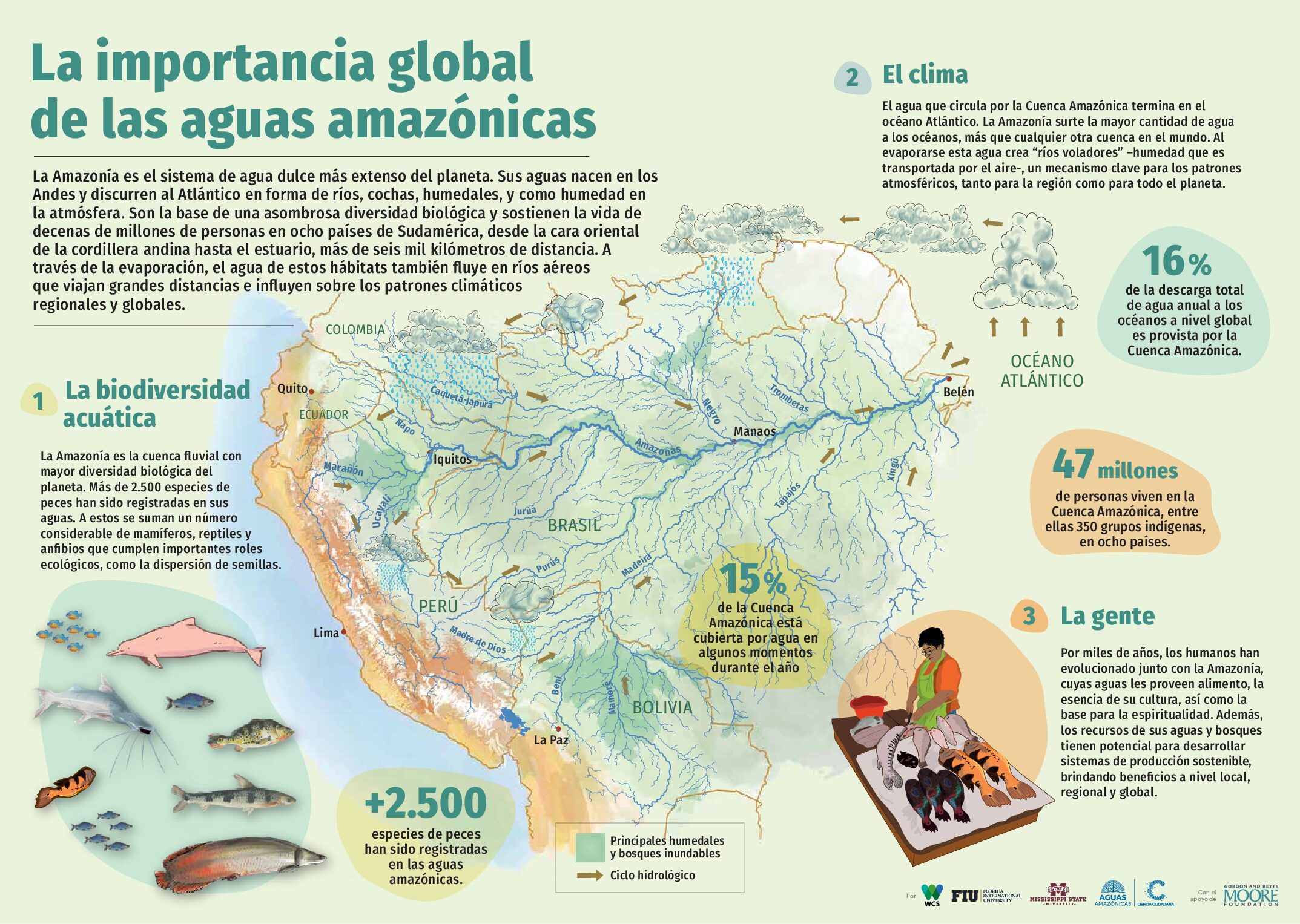 Plan de Acción Regional para los Bagres Migratorios de la Amazonía 10 Conservando la Cuenca Amazónica Aguas Amazonicas