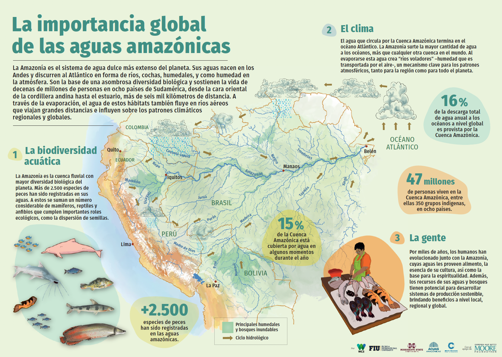 Conservando la Cuenca Amazónica Aguas Amazonicas