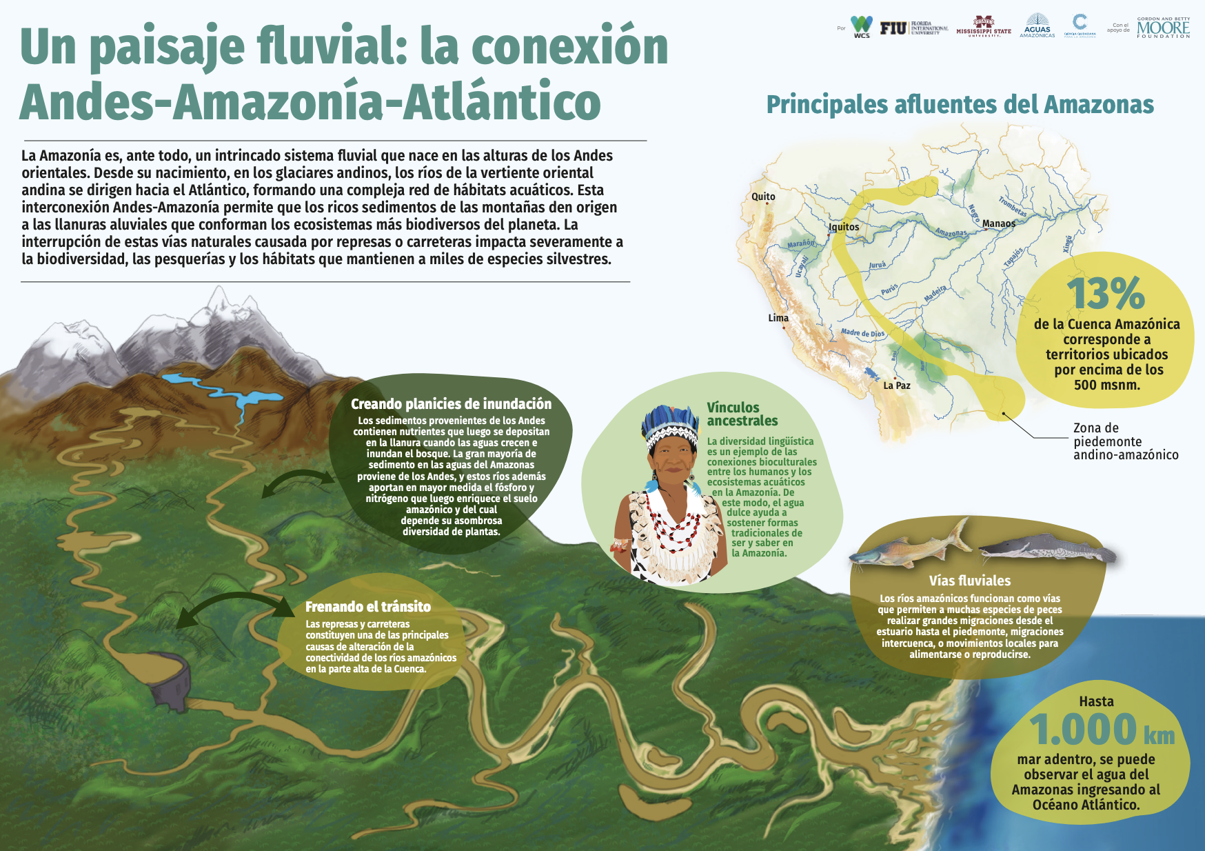 Conectividad acuática 3 Conservando la Cuenca Amazónica Aguas Amazonicas