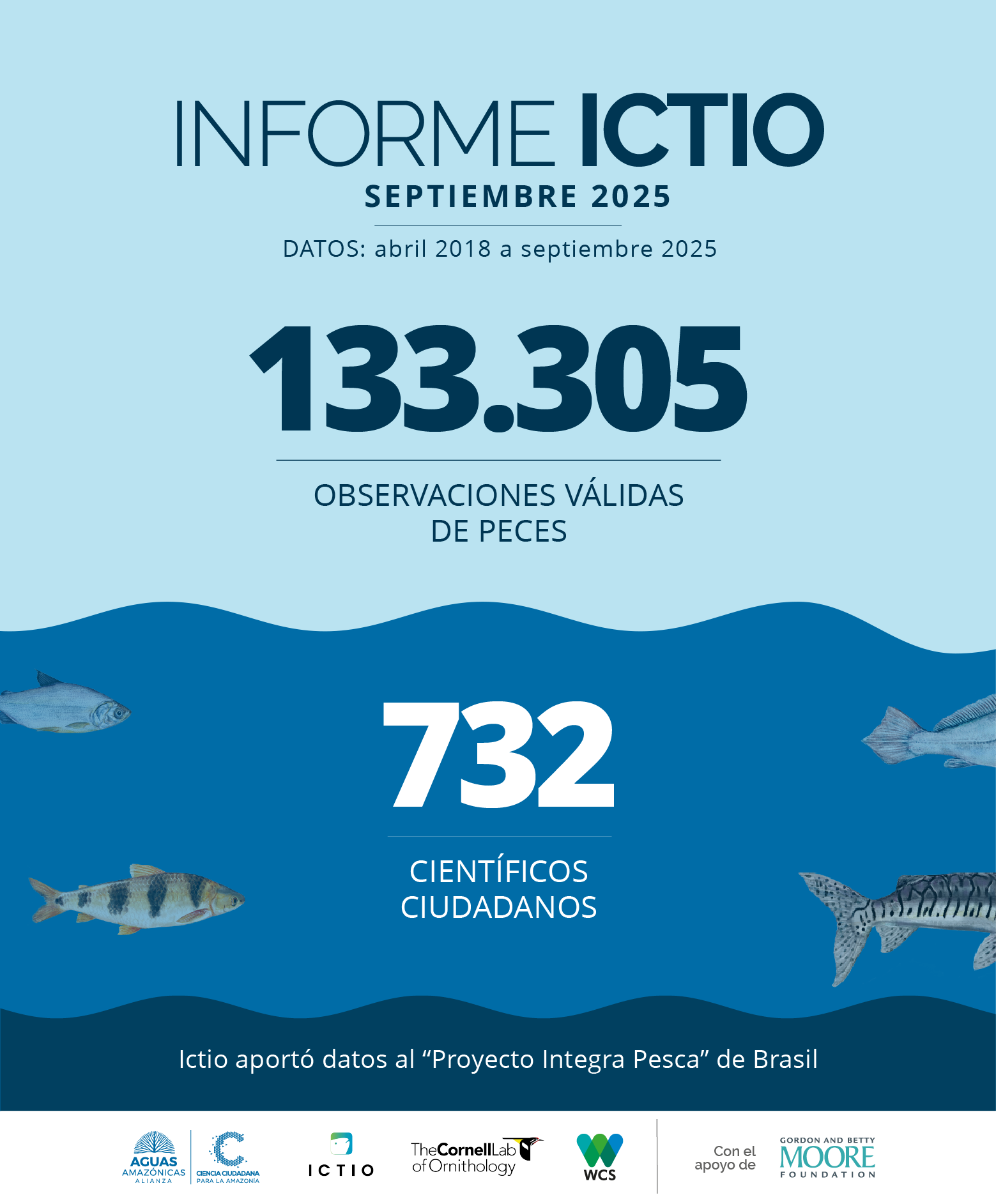 Ictio: crecen los registros ciudadanos de peces en la Amazonía 1 Conservando la Cuenca Amazónica Aguas Amazonicas