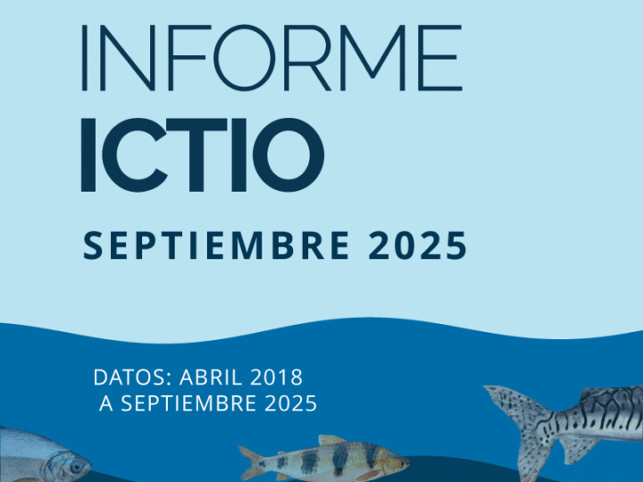 Ictio: crecen los registros ciudadanos de peces en la Amazonía