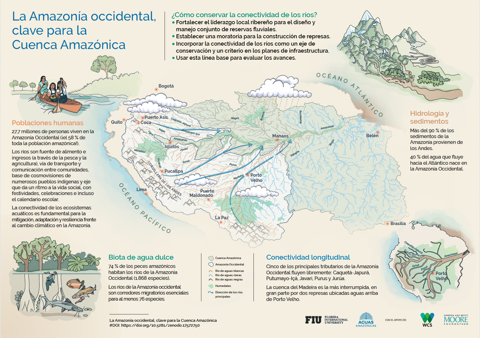 Conectividad acuática 2 Conservando la Cuenca Amazónica Aguas Amazonicas