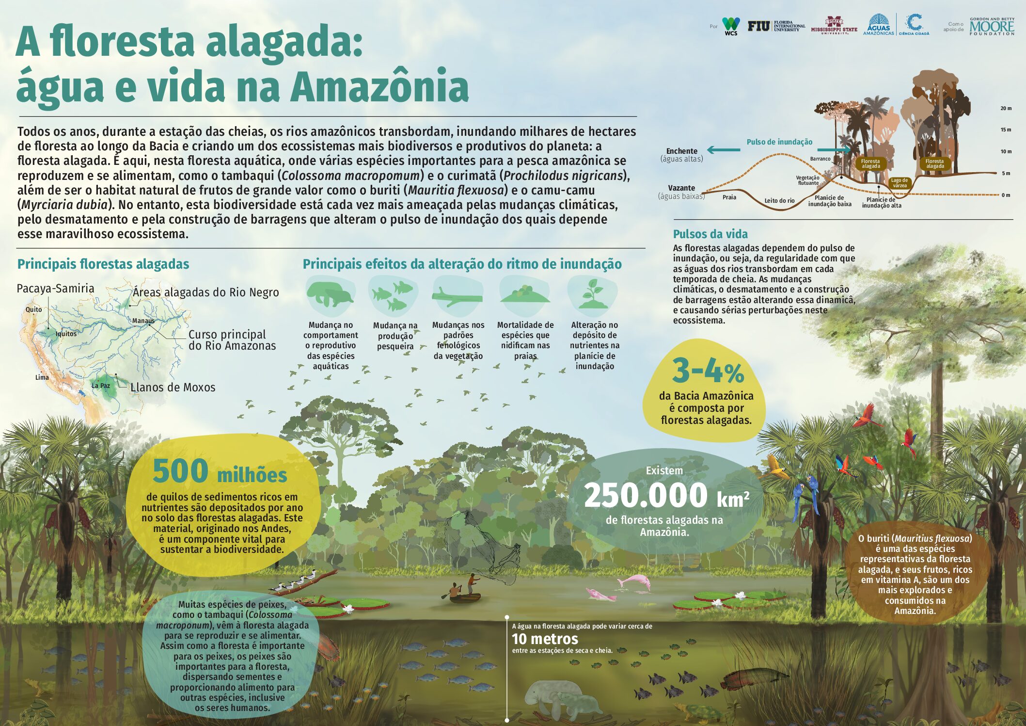 Conservando la Cuenca Amazónica Aguas Amazonicas