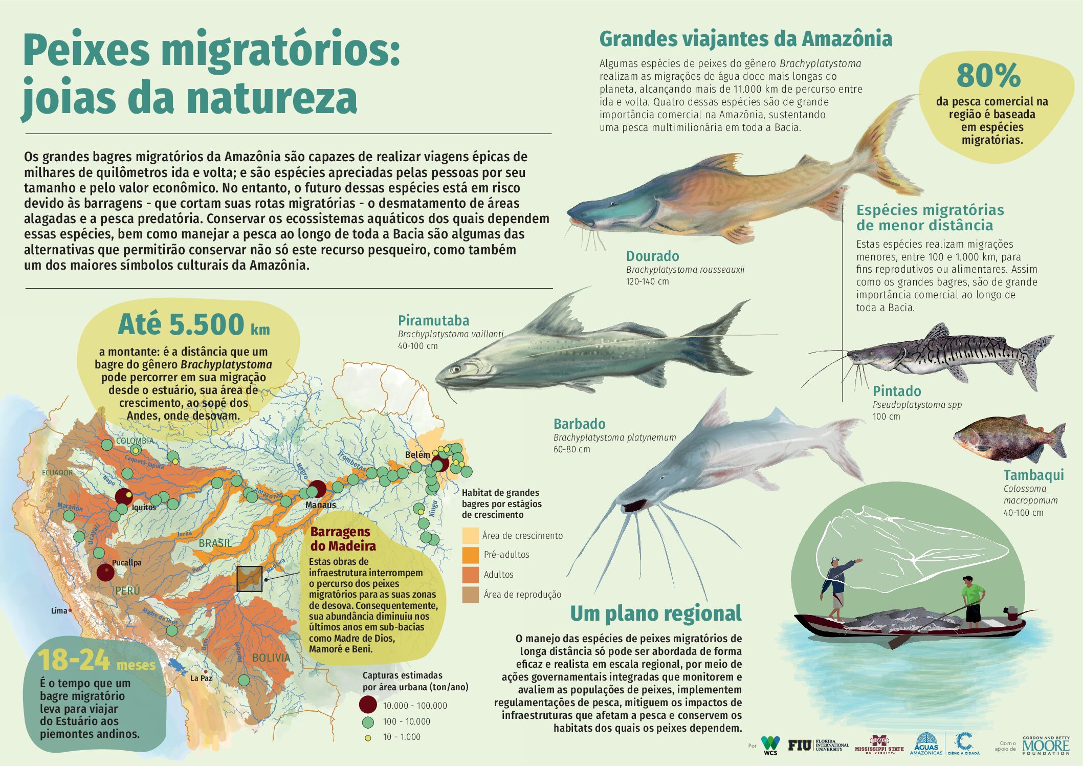 Conservando la Cuenca Amazónica Aguas Amazonicas