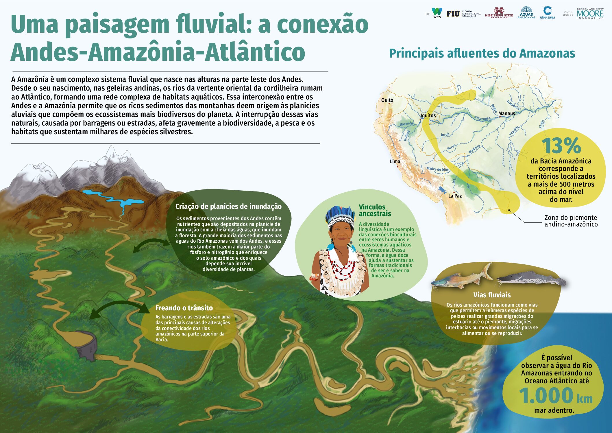 Conservando la Cuenca Amazónica Aguas Amazonicas
