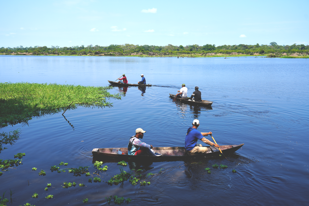 Amazon Fisheries in Action: Community Stories that Strengthen Rivers and Livelihoods 2 Association of Communities Managing Lakes of the Içá River counting pirarucu fish stocks. Fisheries experiencies