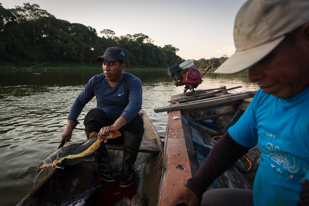 Conservando la Cuenca Amazónica Aguas Amazonicas