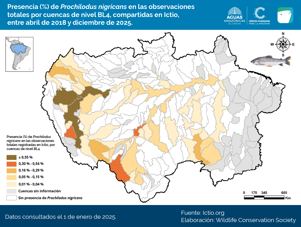 Ictio crece y conecta la Amazonía: datos clave para la gestión pesquera regional 7 Conservando la Cuenca Amazónica Aguas Amazonicas