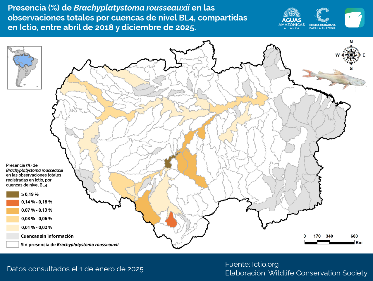 Ictio crece y conecta la Amazonía: datos clave para la gestión pesquera regional 6 Conservando la Cuenca Amazónica Aguas Amazonicas