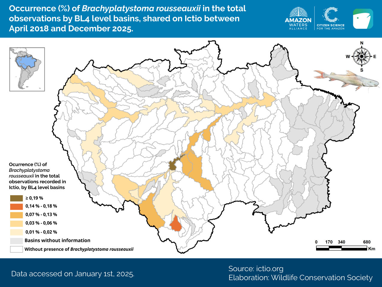 Ictio grows and connects the Amazon: key data for regional fisheries management 7 Conservando la Cuenca Amazónica Aguas Amazonicas
