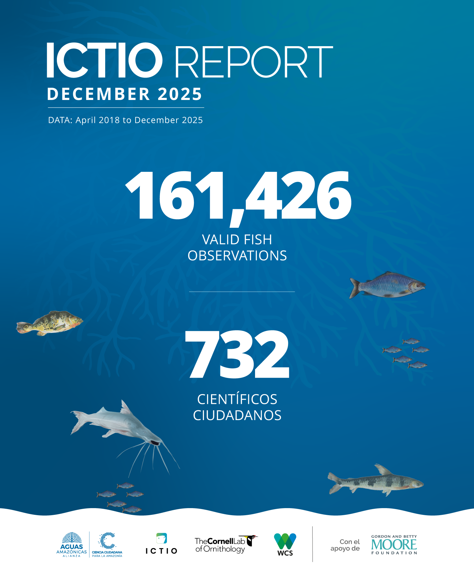 Conservando la Cuenca Amazónica Aguas Amazonicas