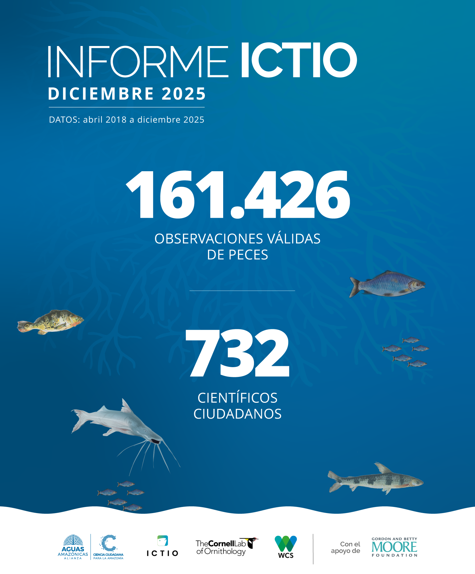 Ictio crece y conecta la Amazonía: datos clave para la gestión pesquera regional 1 Conservando la Cuenca Amazónica Aguas Amazonicas