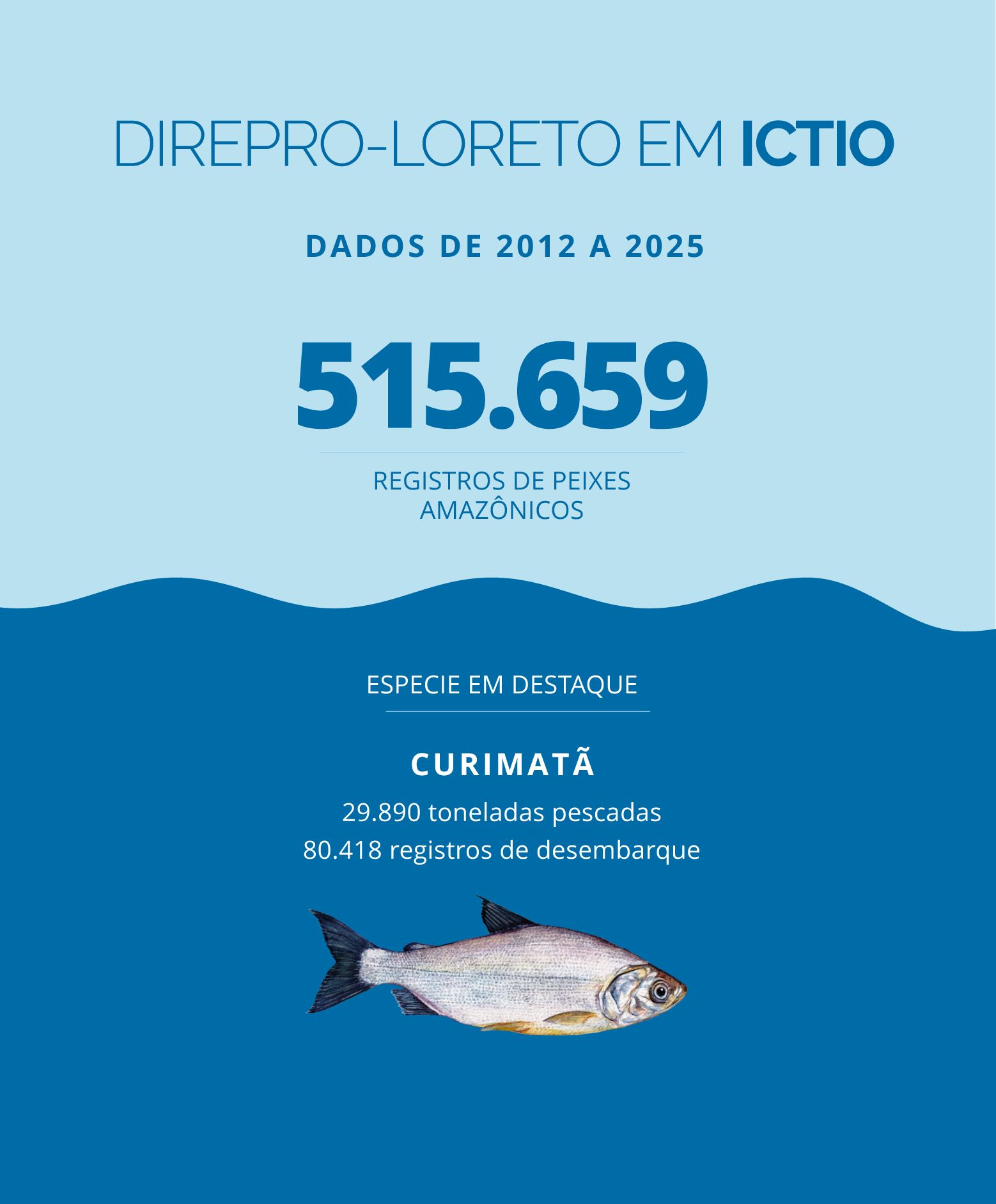 A Direção Regional de Produção de Loreto se integra a Ictio, a maior base de dados aberta sobre peixes amazônicos 1 Conservando la Cuenca Amazónica Aguas Amazonicas