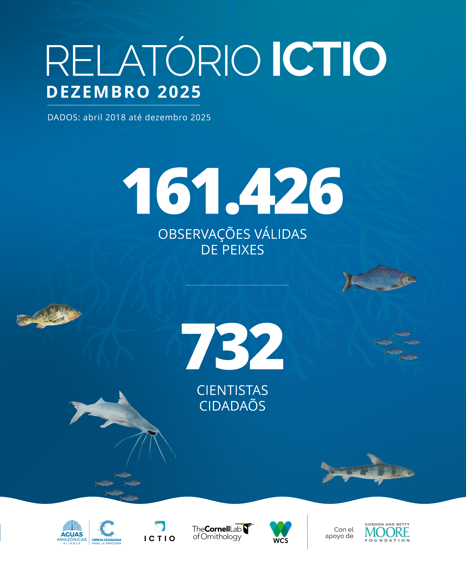 Conservando la Cuenca Amazónica Aguas Amazonicas