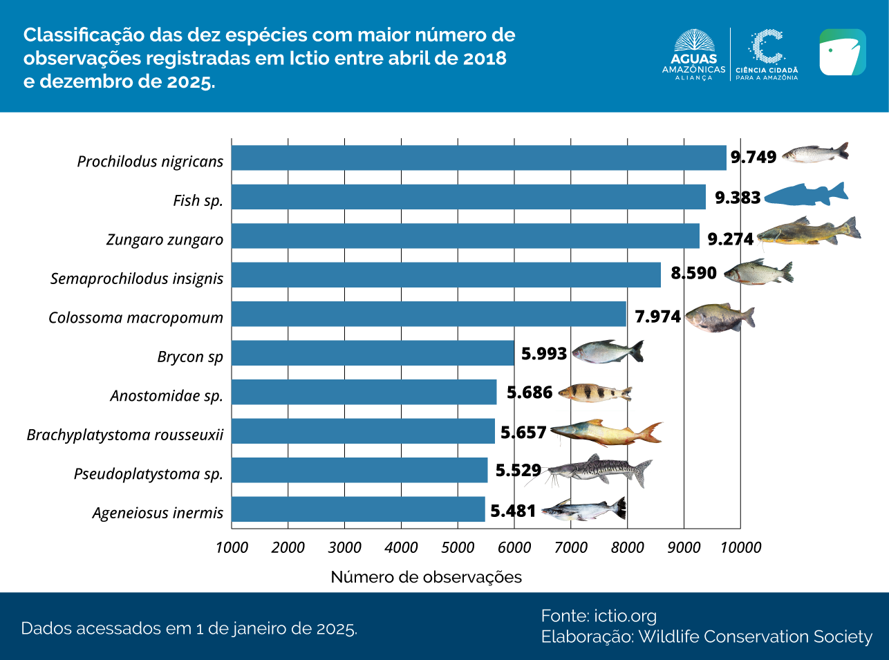 Conservando la Cuenca Amazónica Aguas Amazonicas
