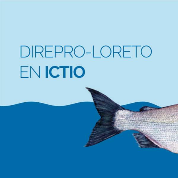 Conservando la Cuenca Amazónica Aguas Amazonicas