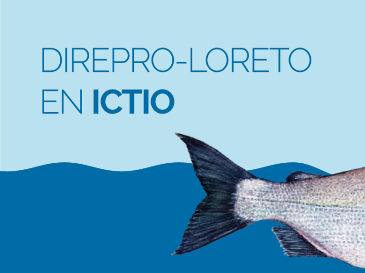 La Dirección Regional de la Producción de Loreto se integra a Ictio, la mayor base de datos abierta sobre peces amazónicos