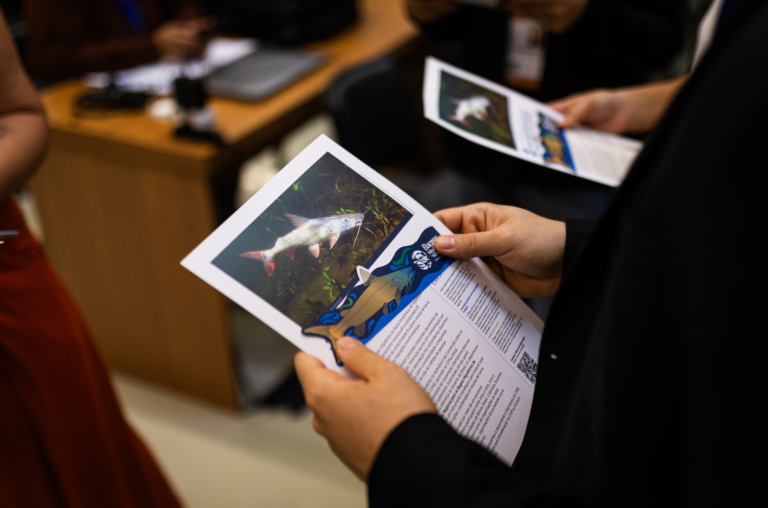 Plan de Acción Regional para los Bagres Migratorios de la Amazonía 15 Conservando la Cuenca Amazónica Aguas Amazonicas