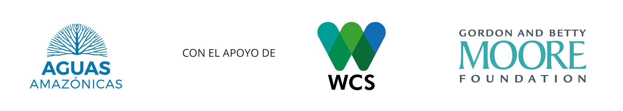 Conservando la Cuenca Amazónica Aguas Amazonicas