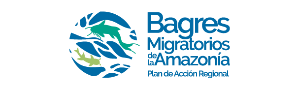 Conservando la Cuenca Amazónica Aguas Amazonicas