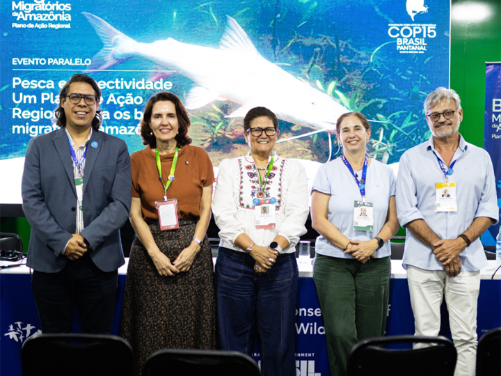 Países amazónicos aprueban Plan de Acción para conservar los bagres migratorios