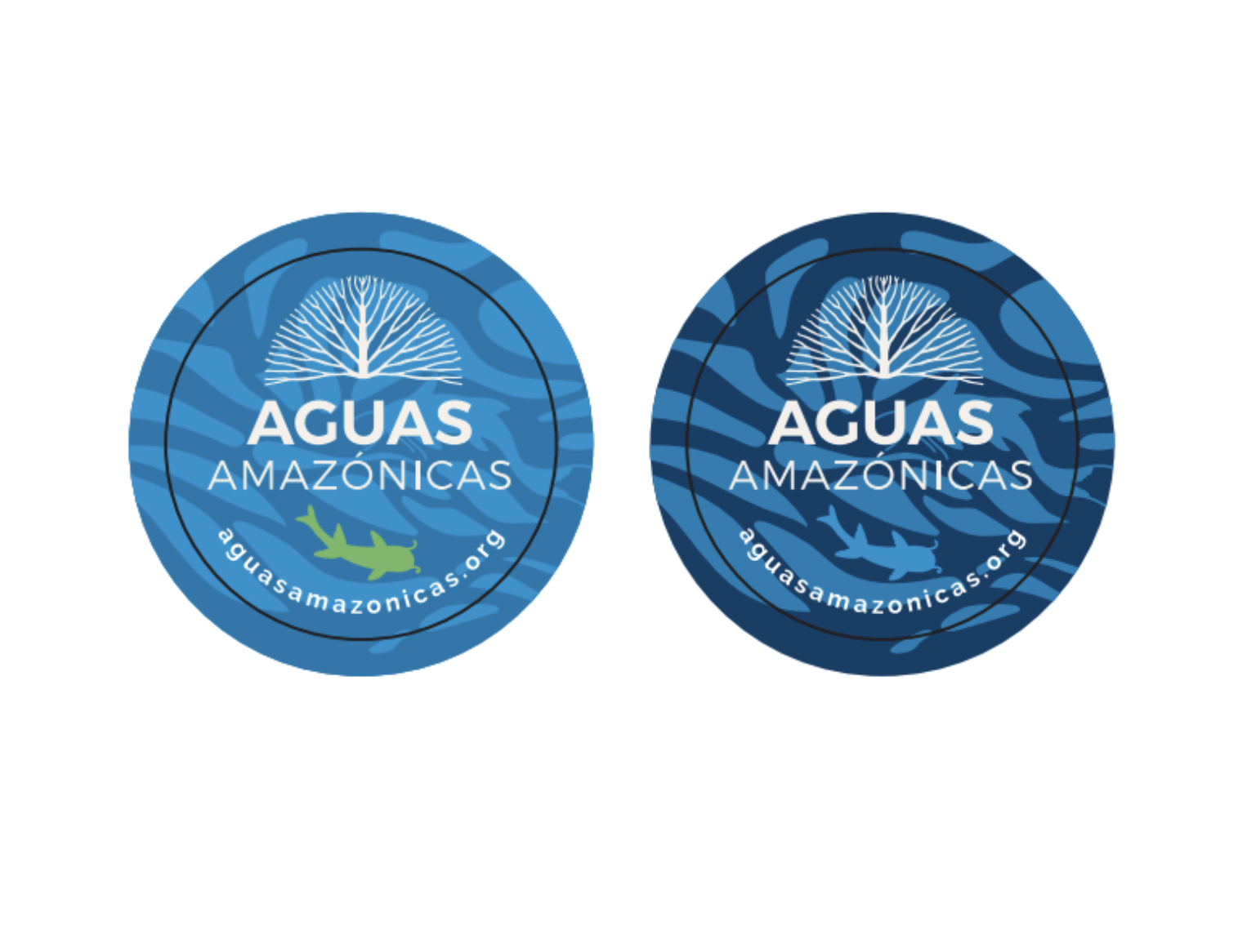 Conservando la Cuenca Amazónica Aguas Amazonicas