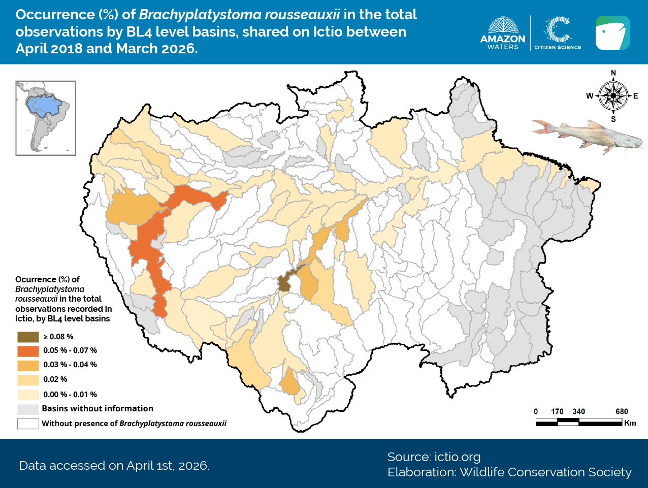 Ictio consolidates as the largest open database on Amazonian fishes and fisheries 7 Conservando la Cuenca Amazónica Aguas Amazonicas