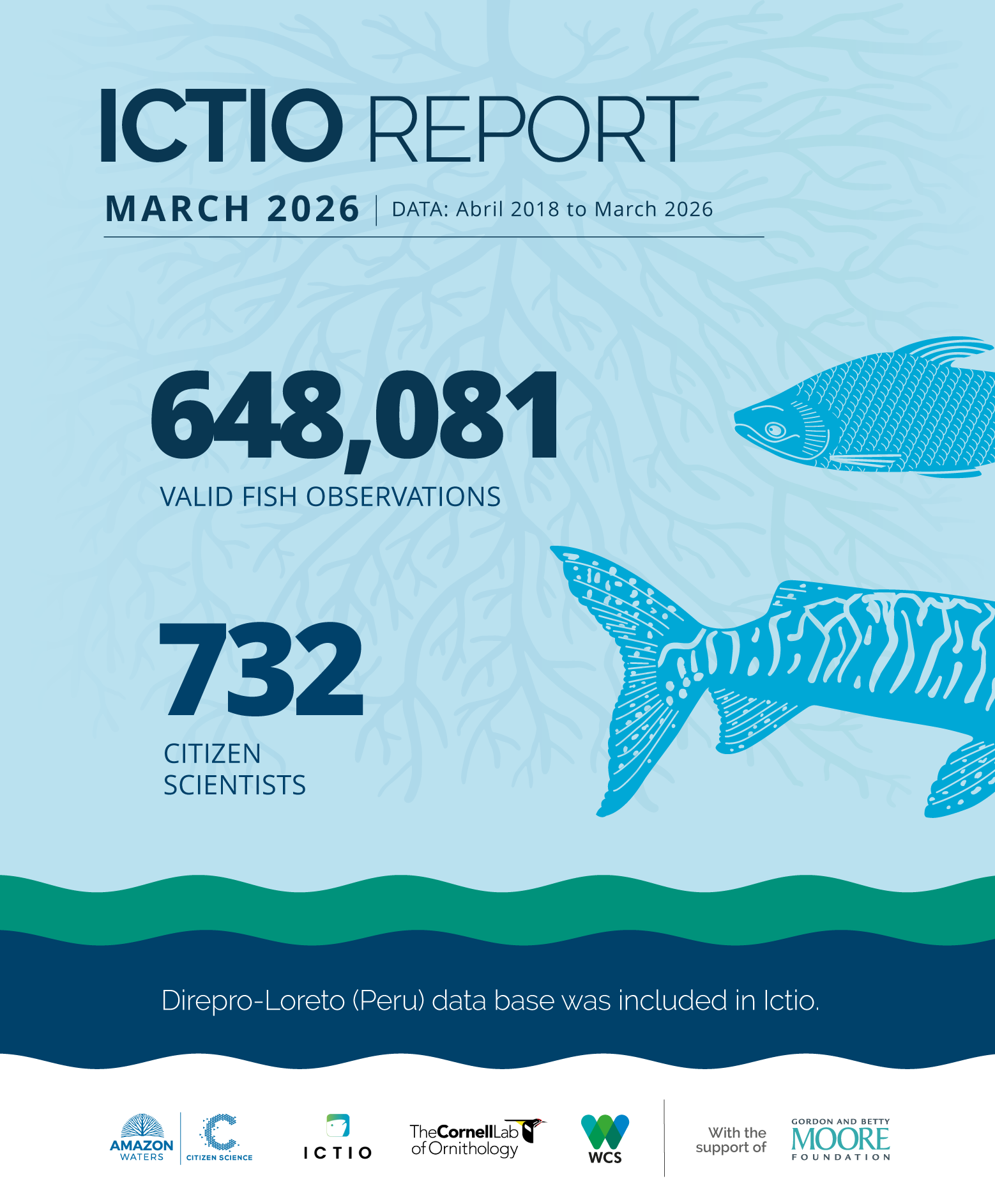 Ictio consolidates as the largest open database on Amazonian fishes and fisheries 1 Conservando la Cuenca Amazónica Aguas Amazonicas