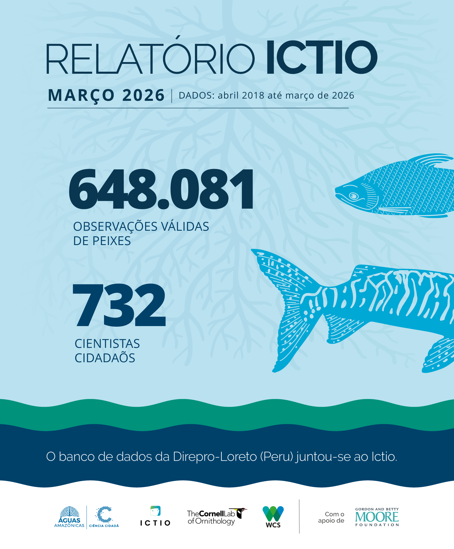Ictio se consolida como a maior base de dados abertos sobre peixes e pesca da Amazônia 1 Conservando la Cuenca Amazónica Aguas Amazonicas